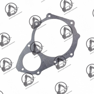 Прокладка насоса водяного 400602-00810