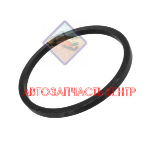 Уплотнительное кольцо ТНВД JCB 320/06519