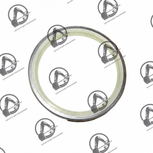 Уплотнение DS5502005